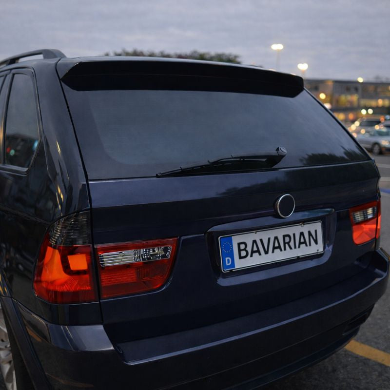 Luci posteriori a Led per BMW X5 E53 (1998-2006)