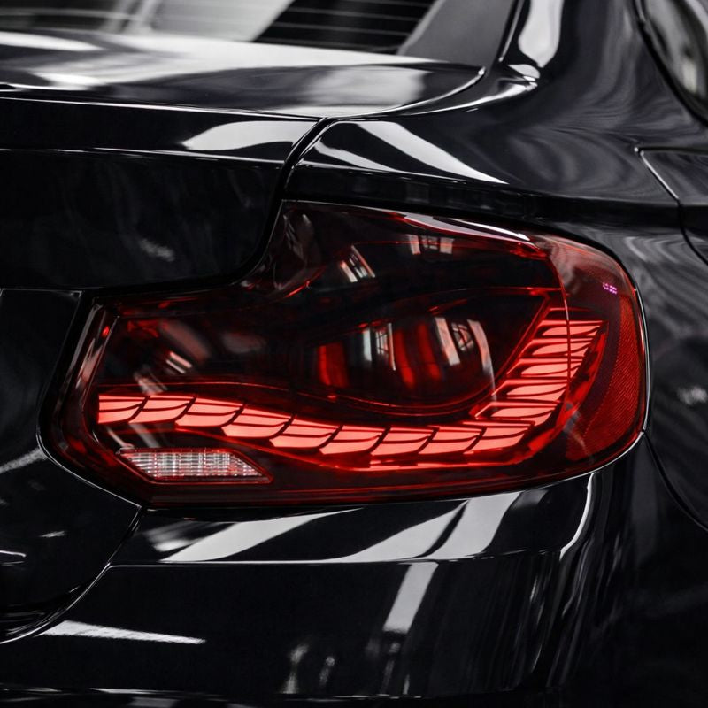 Luci posteriori a Led per BMW F22 (2014-2019)