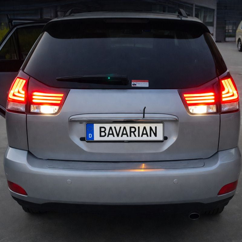 Luci posteriori a Led per Lexus RX350/330 (2004-2009)