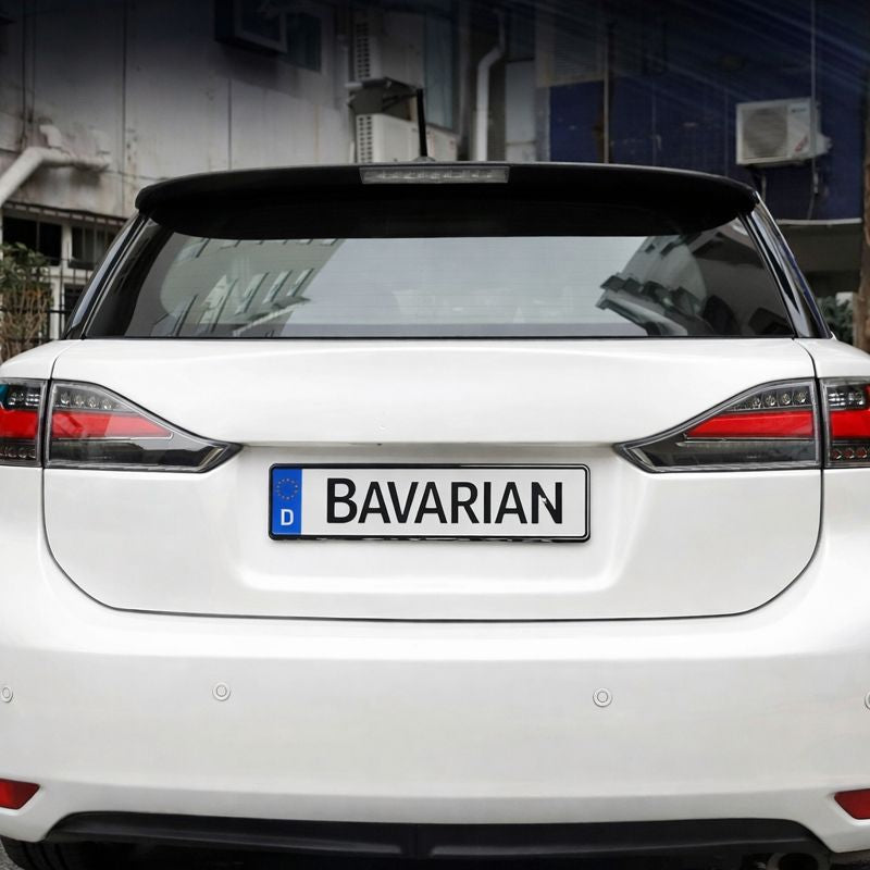 Luci posteriori a Led per Lexus CT200h (2011-2017)