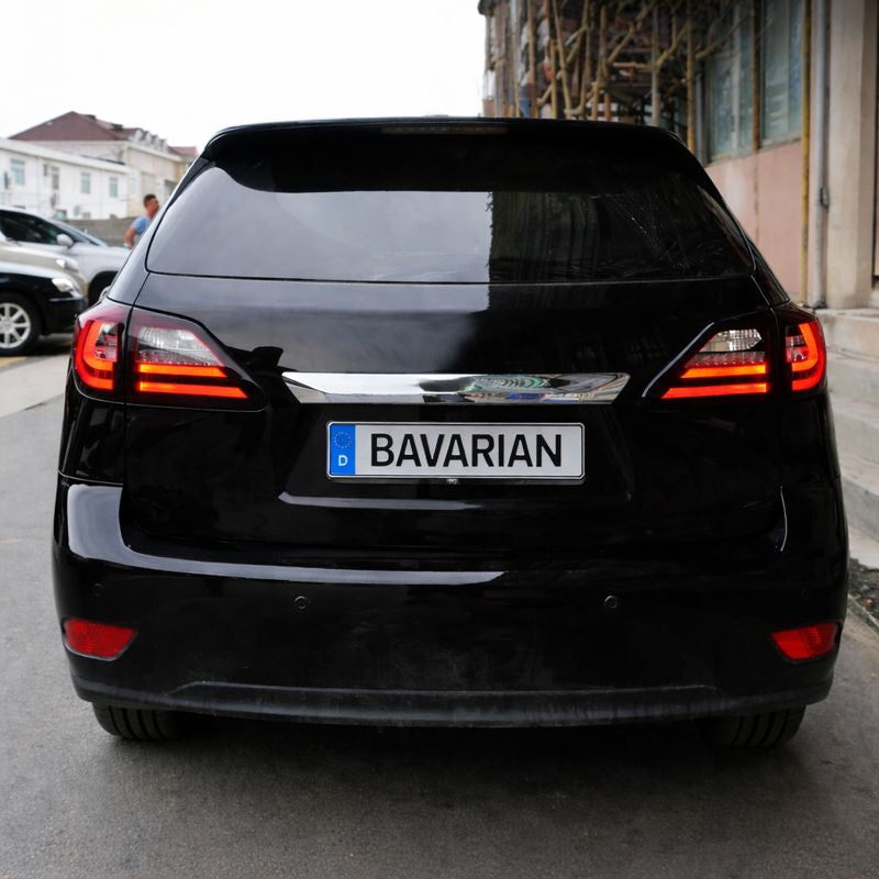 Luci posteriori a Led per Lexus RX270/350 (2009-2015)