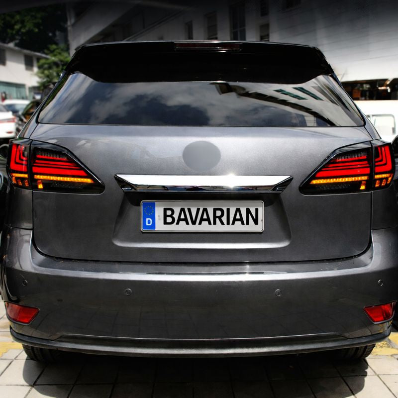 Luci posteriori a Led per Lexus RX270/350 (2009-2015)