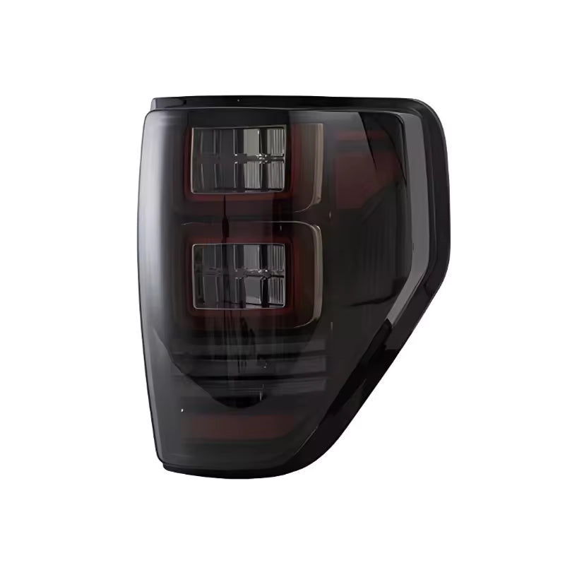 Fari posteriori a Led per Ford F-150 (2009–2014)