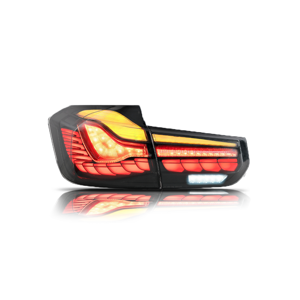 Luci posteriori a Led per BMW F30 (2013-2019)